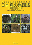日本鳥の巣.jpg
