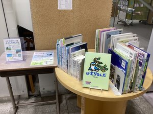 IMG_4368.JPG