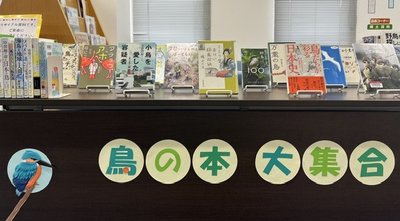 5月一般テーマ.jpeg