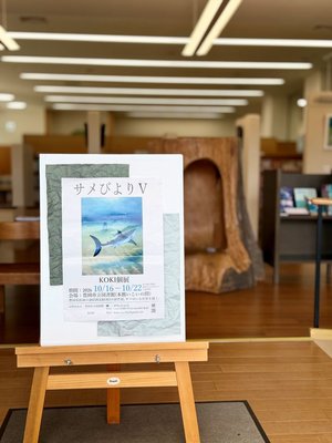 さめ４.jpg