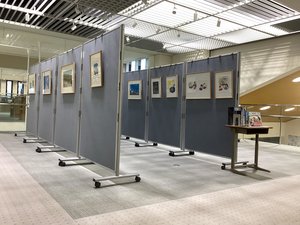 原画展.jpg